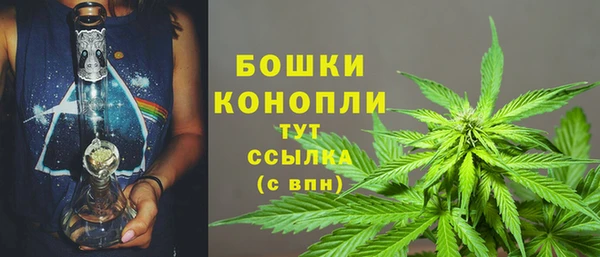 каннабис Аркадак